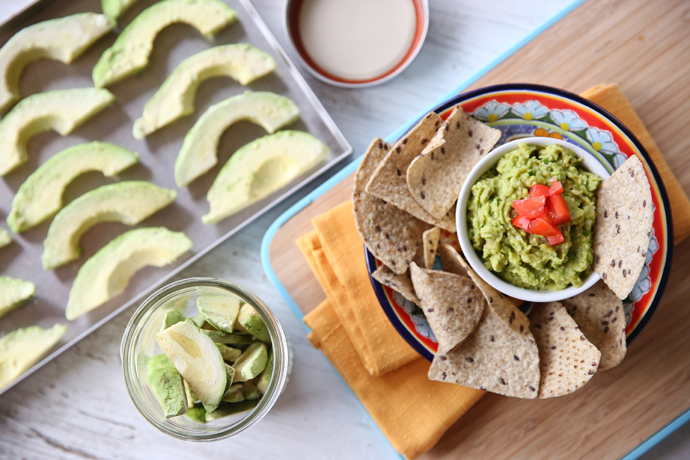 New to Home Freeze Drying? Tips for Beginners Harvest Right